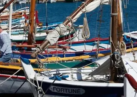 L Annexe 50m De La *